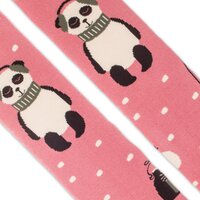 1618 frote Pandica 3